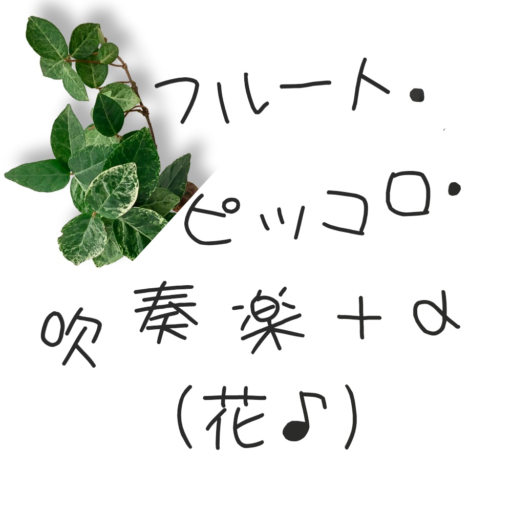 フルート・ピッコロ・吹奏楽＋α（花♪）